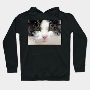 Black and White Cat Face, Gifts Cat Lovers Hoodie